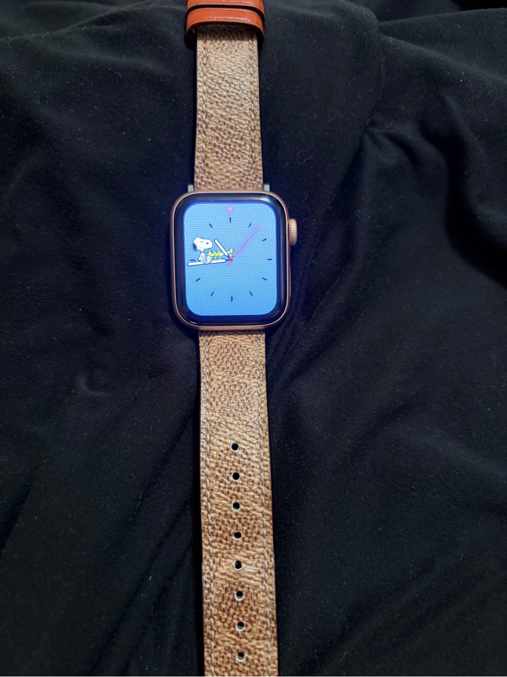 Apple Watch SE (40mm, GPS) with COACH wristband